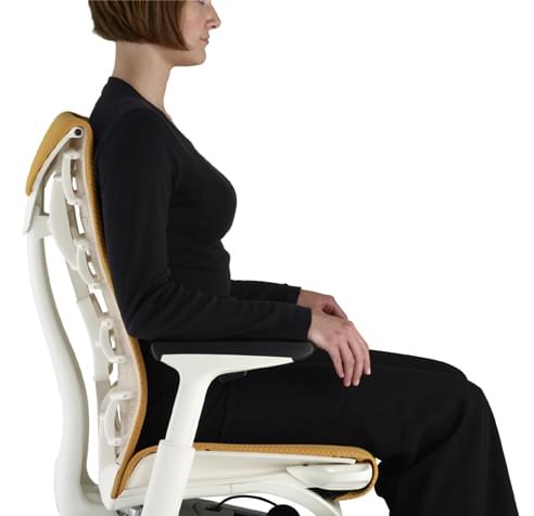 Herman Miller Office Furniture Embody Chair