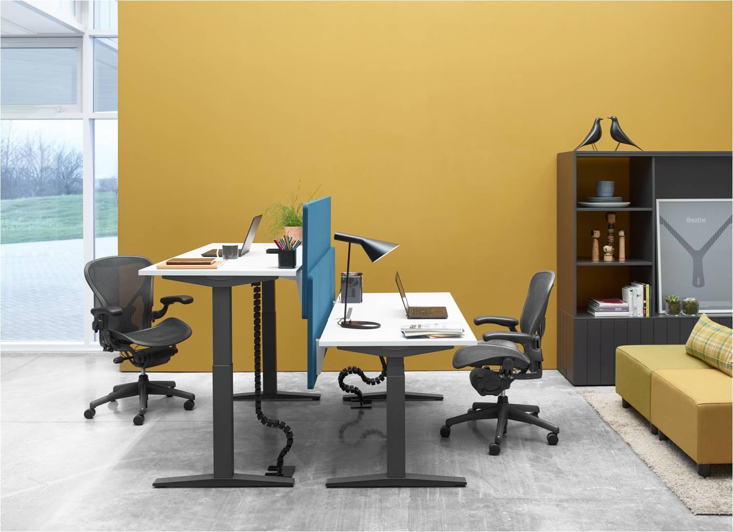 office space with two black office chairs and adjustable desks