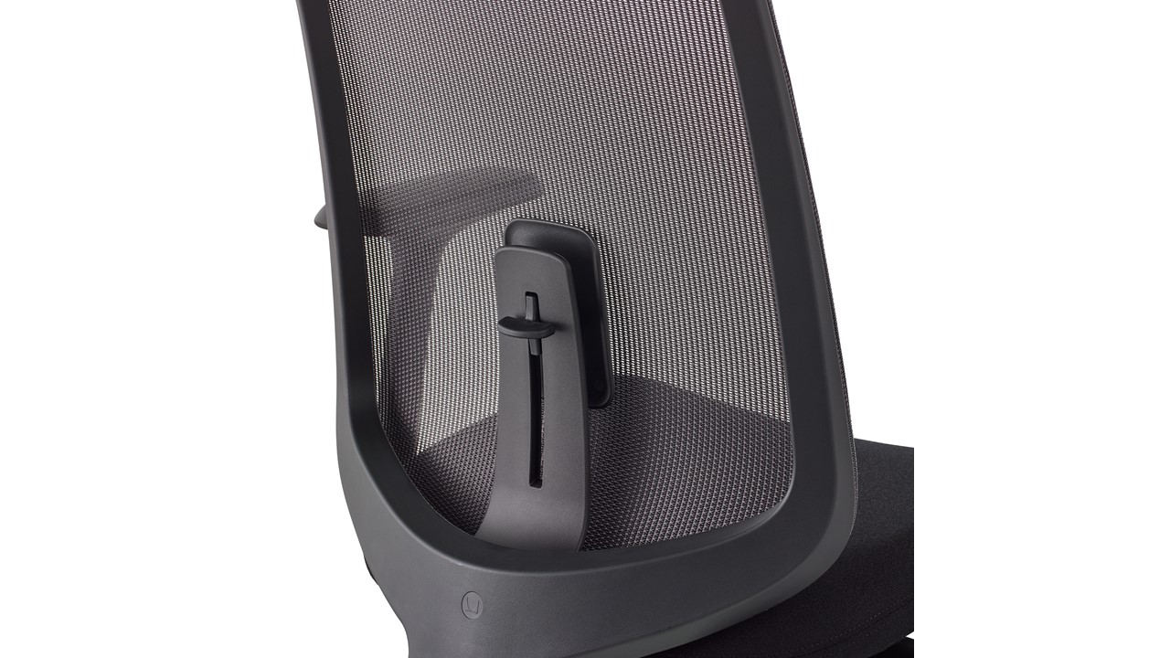 Verus Chair Back with Adjustable PostureFit and Lumbar Support